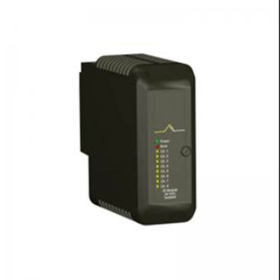 VE4003S2B1 Emerson Ersatzteile DeltaV Standard I/O Endblockmodul